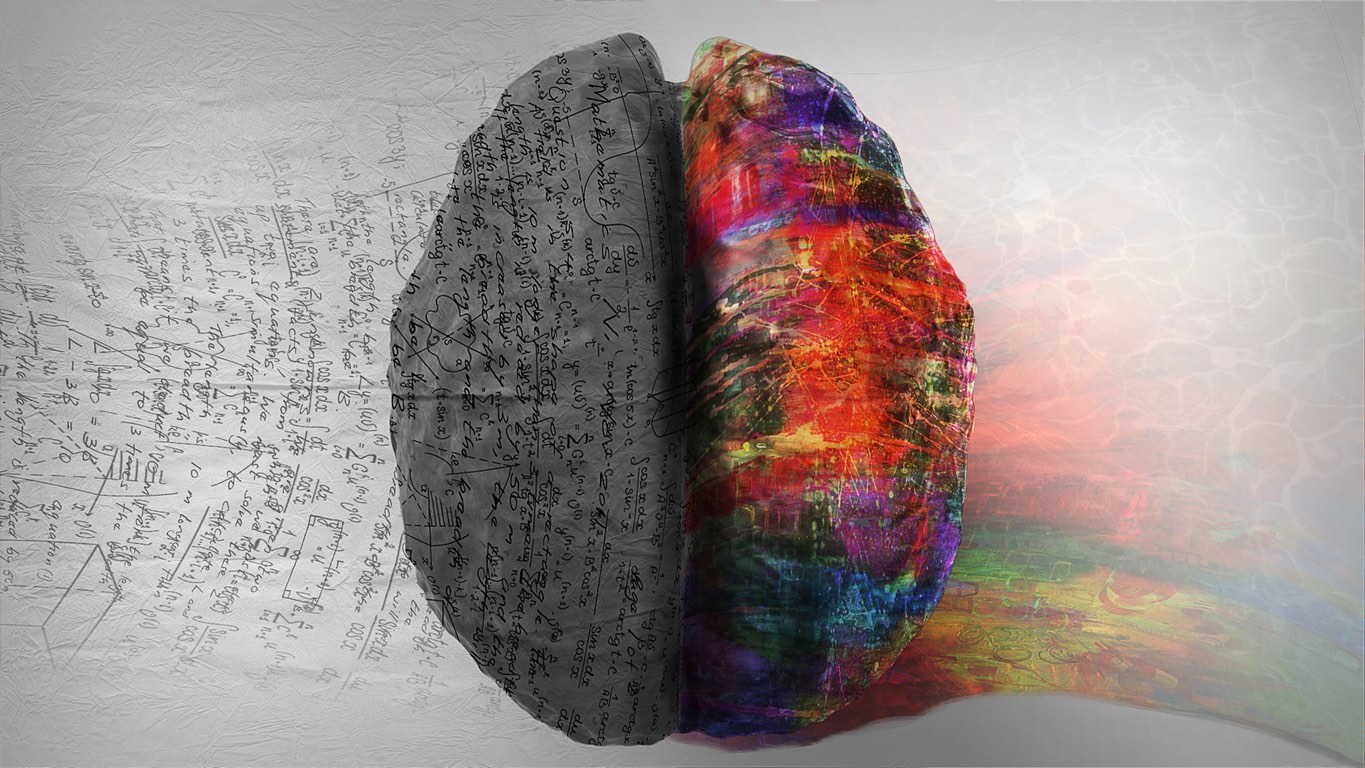 Top down view of human brain depicting left side right side differences. The right side shows creative, music and art while the left side shows calculation, numbers and mathematics.
